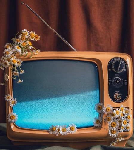 Television shows dz - television,
